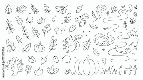 Charming hand-drawn autumn elements featuring squirrels, pumpkins, acorns, and falling leaves perfect for festive designs
