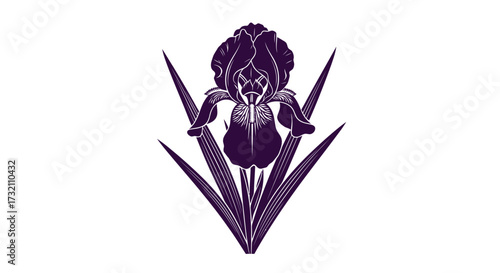 Purple flower illustration