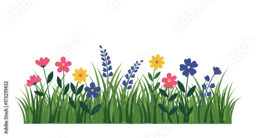 spring flowers in grass