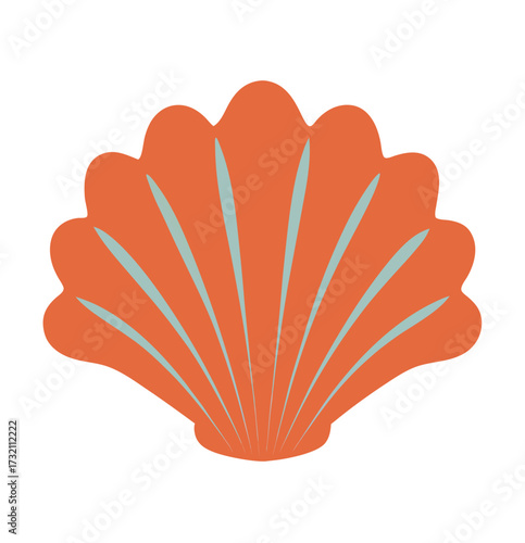 seashell on white background