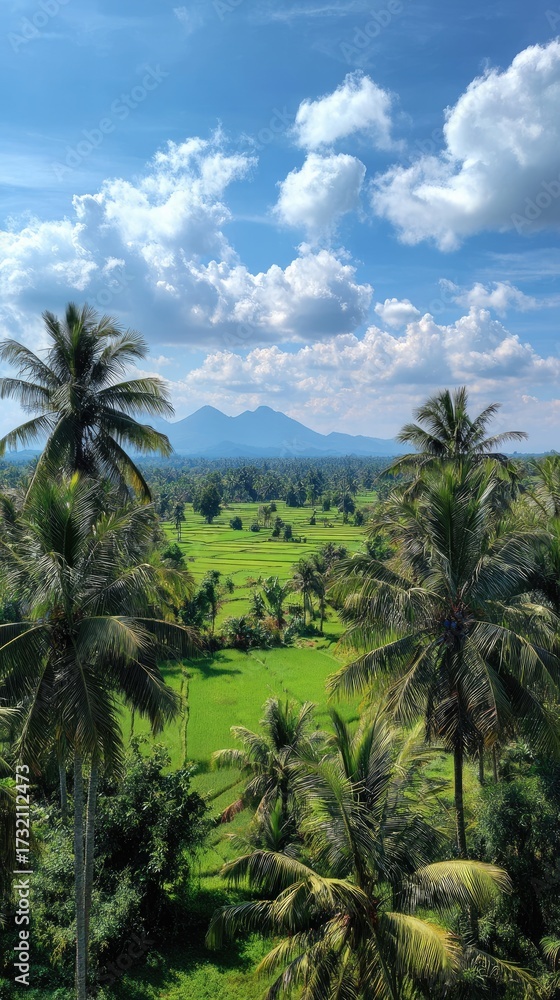 Fototapeta premium Lush landscape view with towering palm trees, verdant rice fields, and distant mountains under blue sky