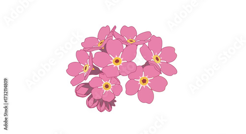 Bunch of pink flowers with yellow centers