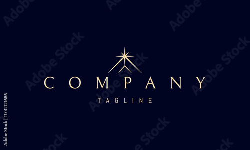 A vector golden logo featuring an abstract image: two mountains with a radiant star above them, symbolizing strength, light, and aspiration.
