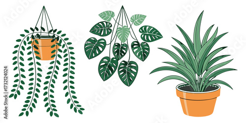 Collection of potted houseplants including a hanging plant monstera and snake plant vector illustration for home decor and design