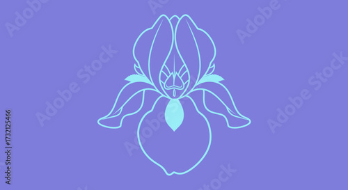 Stylized iris, light blue lines, purple background