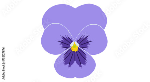 Pansy bloom, soft purples, yellows, and deeper purples in the center. Simple vector graphic with white background