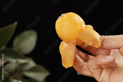 Fresh Loquat Fruit Peeled in Hand - Golden Asian Fruit from Panzhihua Mountain Region