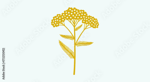 Golden Yarrow