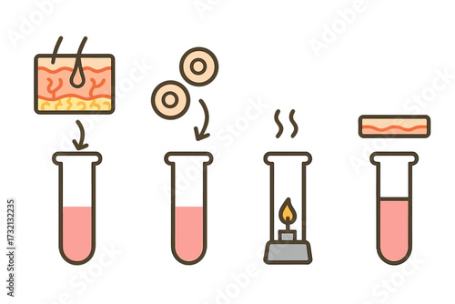 Process of creating artificial skin in test tubes. Skin tissue engineering, cell culture concept. Biotechnology, regenerative medicine. Scientific laboratory experiment vector set.