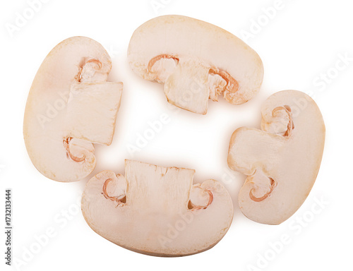 Mushroom champignon slice