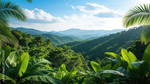 Lush Tropical Valley Vista with Palm Fronds Framing Distant Moun