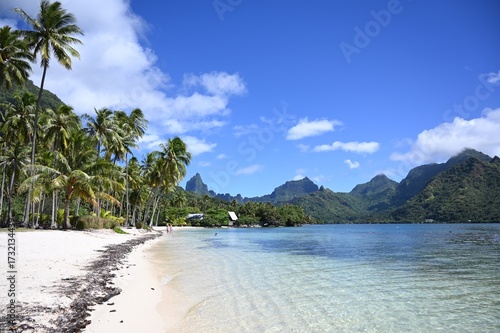 Baie à Moorea