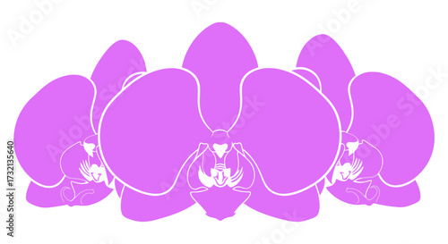 Three purple orchid flowers with white outlines on a white background