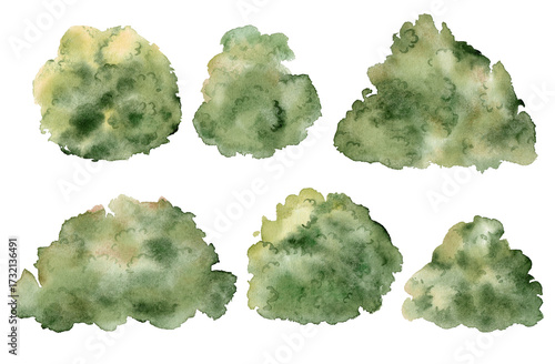 Set of watercolor bushes. Hand drawn light green withered Shrub pattern in the sun. Sketch abstract burnt spring fresh Thicket kit. Illustration on isolated white background