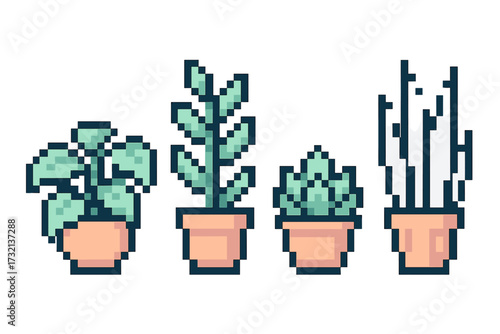 Charming collection of diverse potted green houseplants and succulents in terracotta pots for various digital projects