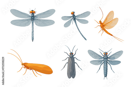 Diverse collection of aquatic insects featuring dragonflies, mayflies, and stoneflies for nature and biology studies