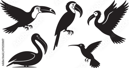 Five black silhouette birds including toucans pelican and hummingbird on white background vector
