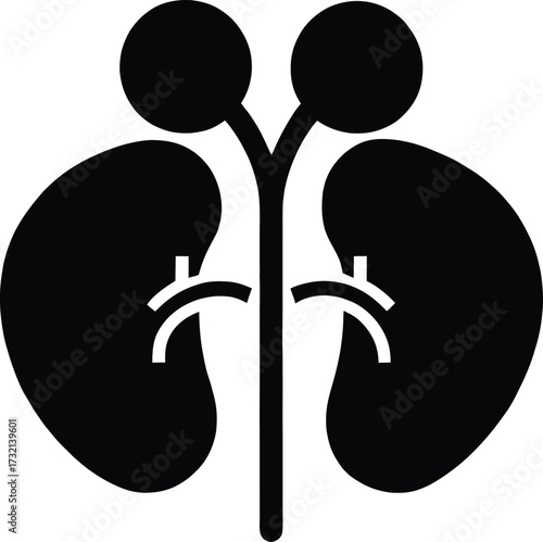 Black Icon Of Human Kidneys With Adrenal Glands On White Background anatomy medical