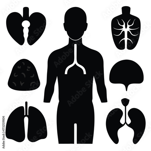 Black Silhouette Icons of Human Anatomy and Biological Forms Keywords: human silhouette, lungs, trachea, anatomy
