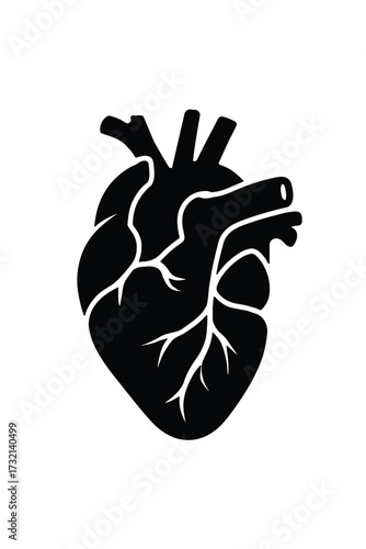 Stylized black silhouette of a human heart with arteries and veins anatomy organ