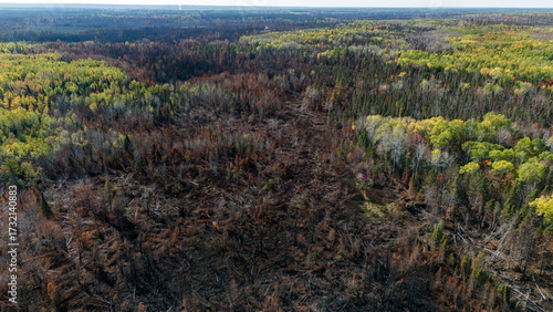 Photos Aftermath of a forest fire in New Brunswick, Canada.