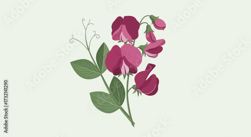 Sweet pea floral spray, digital art style