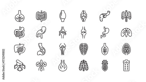 Set of minimalist human organ icons simple line vector design for medical and healthcare isolated on white background