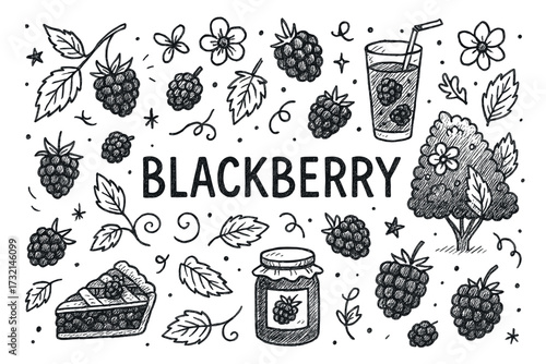 Blackberry fruit and plant sketch with pie and drink