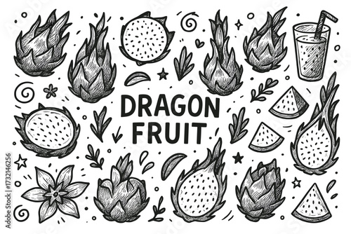 Dragon fruit sketches with illustrations of whole fruits, slices, and floral elements