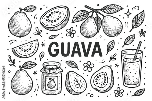 Hand-drawn guava themed illustration with whole and sliced fruit and juice