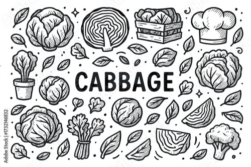 Hand-drawn cabbage and vegetables sketch collection with leaves and chef hat