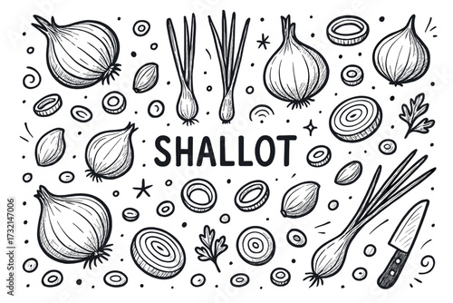 Hand-drawn shallot pattern with sliced and whole onions and kitchen utensils