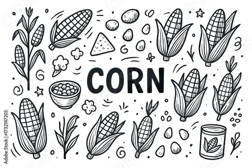 Hand-drawn corn illustrations: cobs, kernels, popcorn, and more in black and white