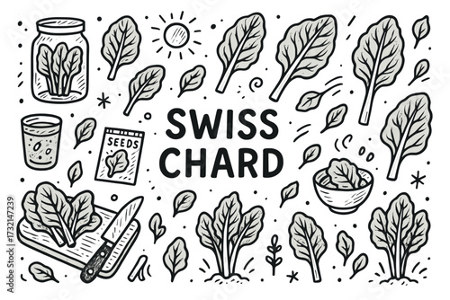 Hand-drawn swiss chard elements with seeds, leaves, and sun illustrations