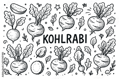 Hand-drawn kohlrabi sketches and patterns with leaves and slices