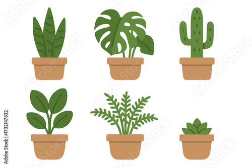 Set of various potted houseplants and succulents featuring snake plant monstera cactus fern and other green foliage