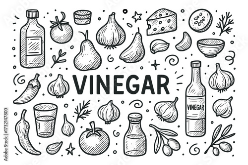 Hand-drawn vinegar and vegetables sketch with ingredients and herbs