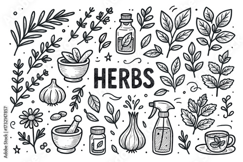 Collection of hand-drawn herbal elements with leaves and bottles