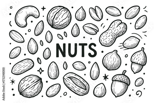 Hand-drawn variety of nuts on white background