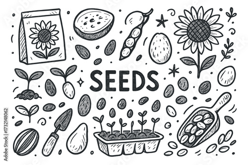Hand-drawn seed doodles with sunflowers, sprouts, and gardening tools