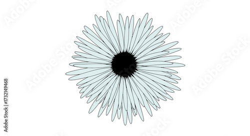 Stylized light blue flower with black center, jagged petal edges on white