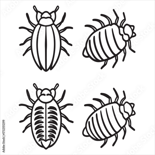 A Cottony Mealybug Pest, a Pseudococcidae Soft Bodied Insect Secreting Honeydew, Known for White Fluffy Colonies and Plant Damage Infestation