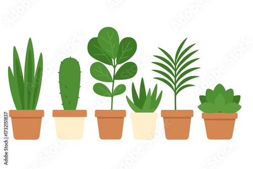Diverse collection of potted green houseplants for interior decoration, featuring succulents, cactus, and leafy foliage