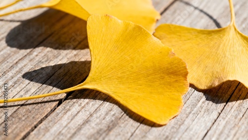 autumn leaves on wooden background