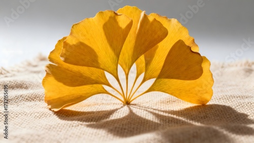 yellow flower on the sand