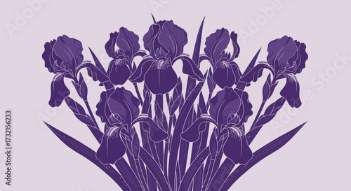 Purple irises arrangement