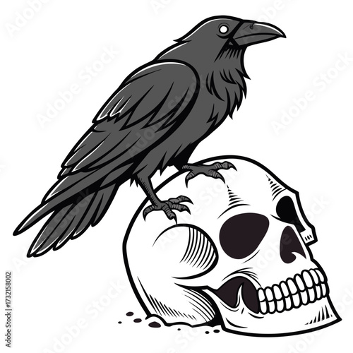 Monochrome illustration of a raven perched on a human skull, symbolizing mortality, mystery, and the eternal cycle of life and death