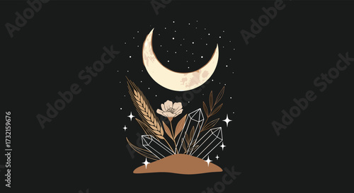 A celestial landscape with a crescent moon and stars above a blooming plant.
