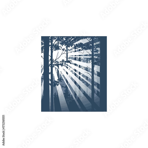Sunlight streams through the trees in a forest, creating a dramatic play of light and shadow.