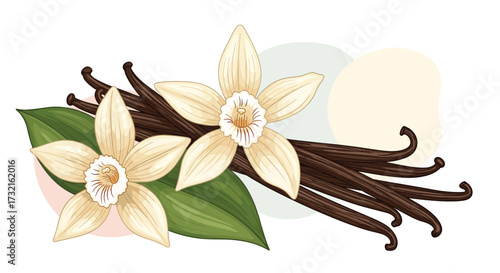 Flavorful vanilla beans with beautiful blossoms and green leaves adorning a pastel background.